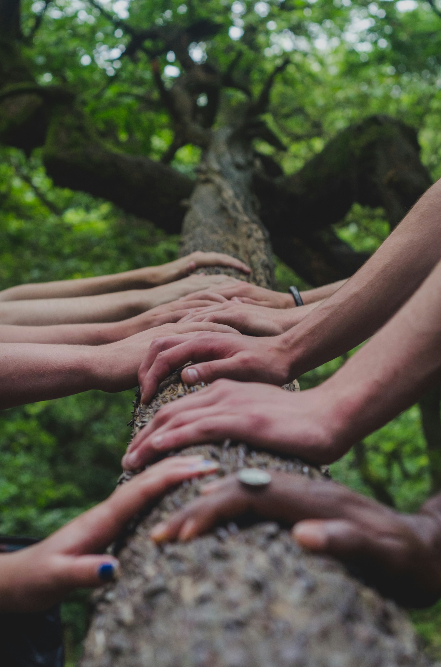 All together now - our approach to collaborative technical writing-hands on a tree bark